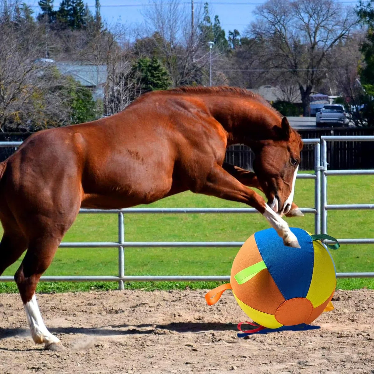 Juguete Pelota Perro Antimordeduras, Segura, Ejercicio, Masticadores | Pelotas de Juguete Interactivas para Perros Saltarina para Exterior Verano Piscina Agua Juego Diversión Navidad Cum