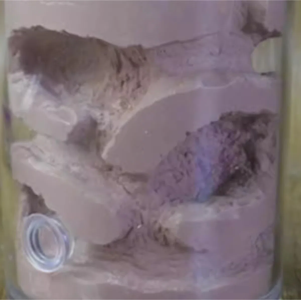 Acrylic Ant Castle