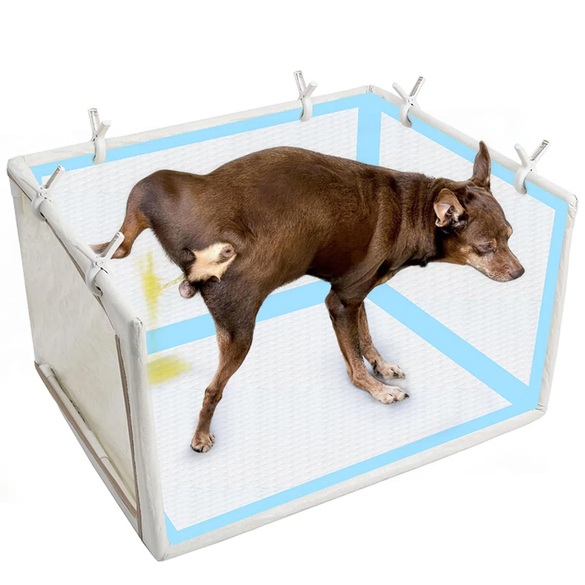 Bandeja Higiénica para Perros Paredes Altas Impermeables para Mascotas | Porta Bandeja De Para Perros Baño Para Cachorros Para Cachorros Perros Medianos Y Grandes Entrenamiento Casa Balcón