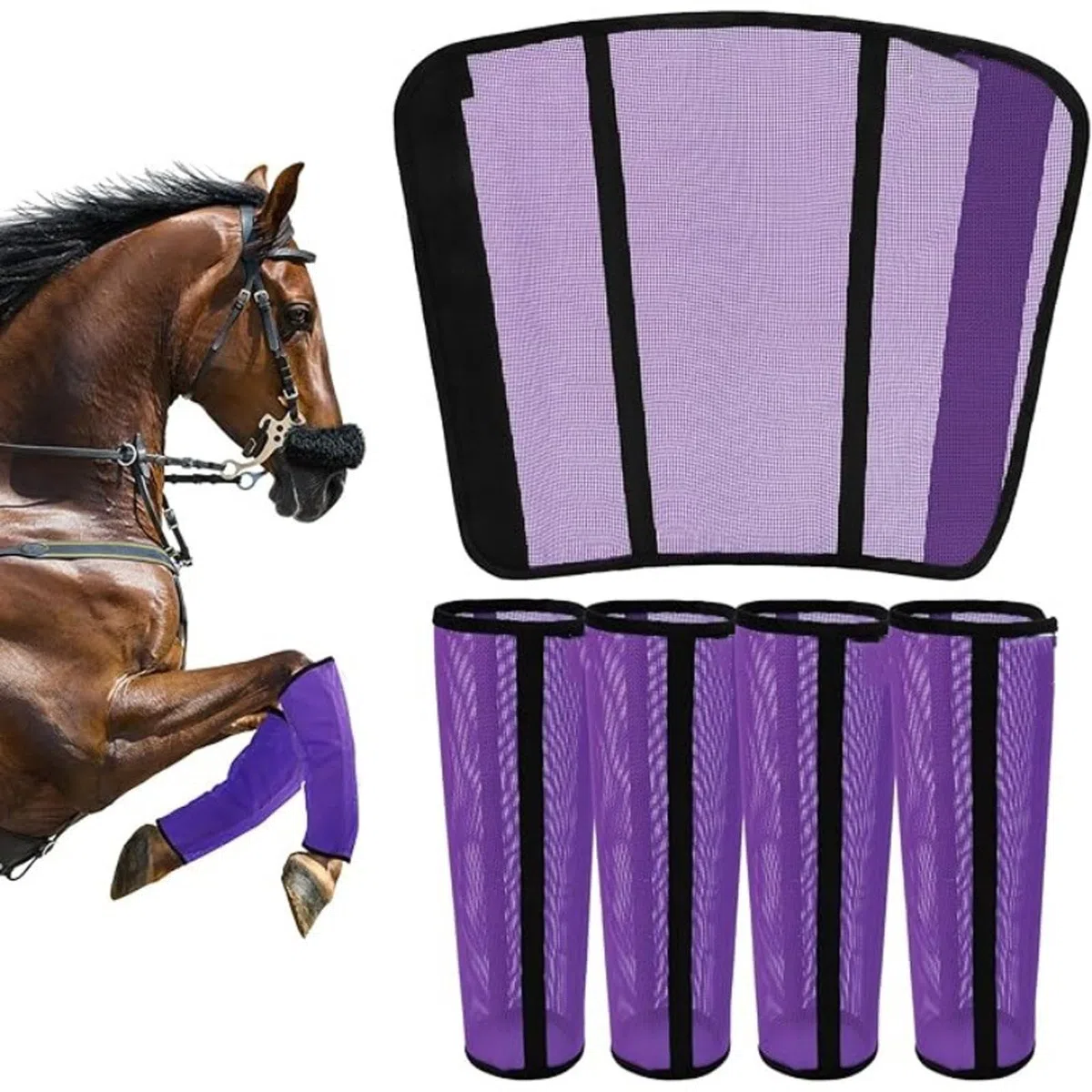 Protectores de piel mejorados para patas de caballo, ajustables, para caballo, para jinetes al aire libre, uso de armaduras transpirables