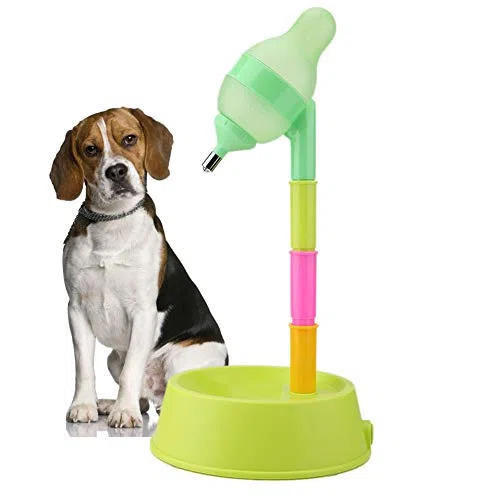 Dispensador de Agua para Gato y con Fuente de Altura Ajustable de pie, Botella de Bebida con Boquilla antigoteo (Verde)