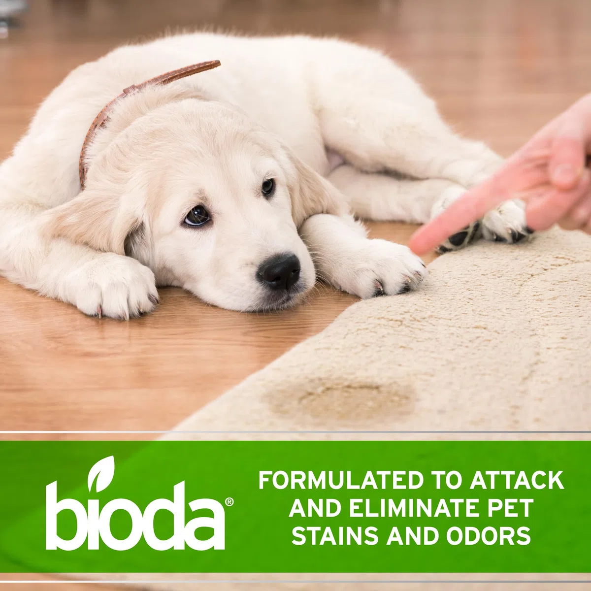 Bioda eliminador de manchas y olores para mascotas, fuerza profesional