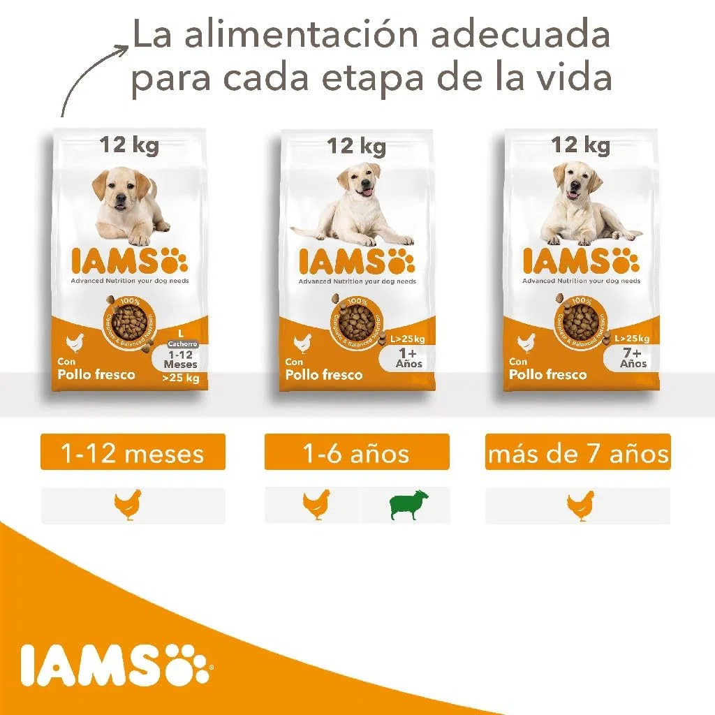 IAMS Alimento Seco para Perros Senior de Razas Grandes, Pollo, 12kg | Alimento seco | para perros mayores | a partir de 7 años | para razas grandes