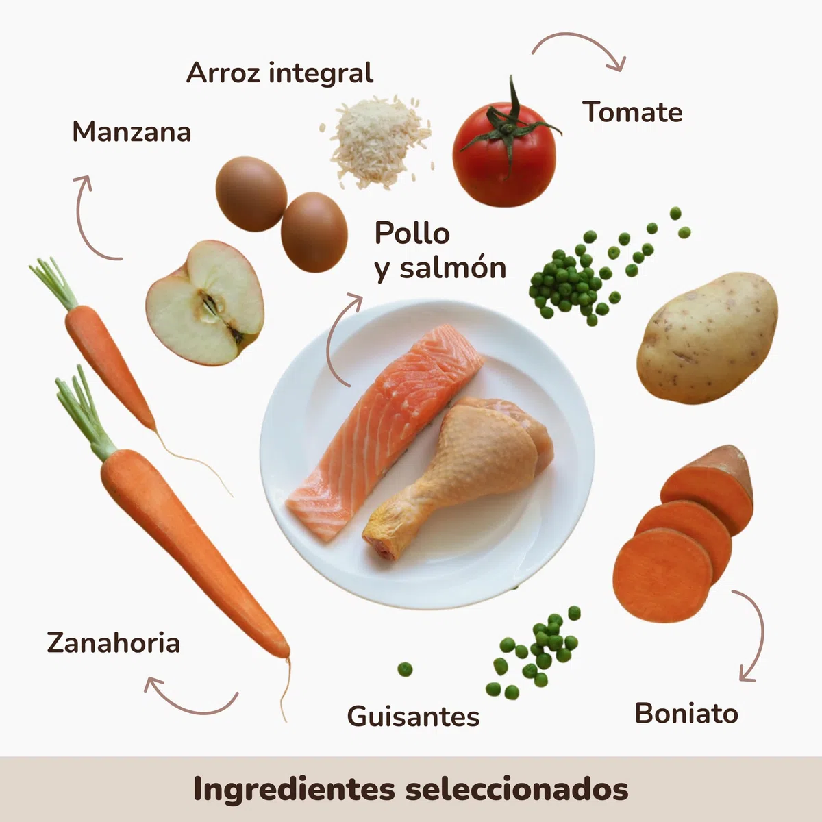 GALITO Pienso Cachorro Pollo y Salmón con Arroz 12 kg