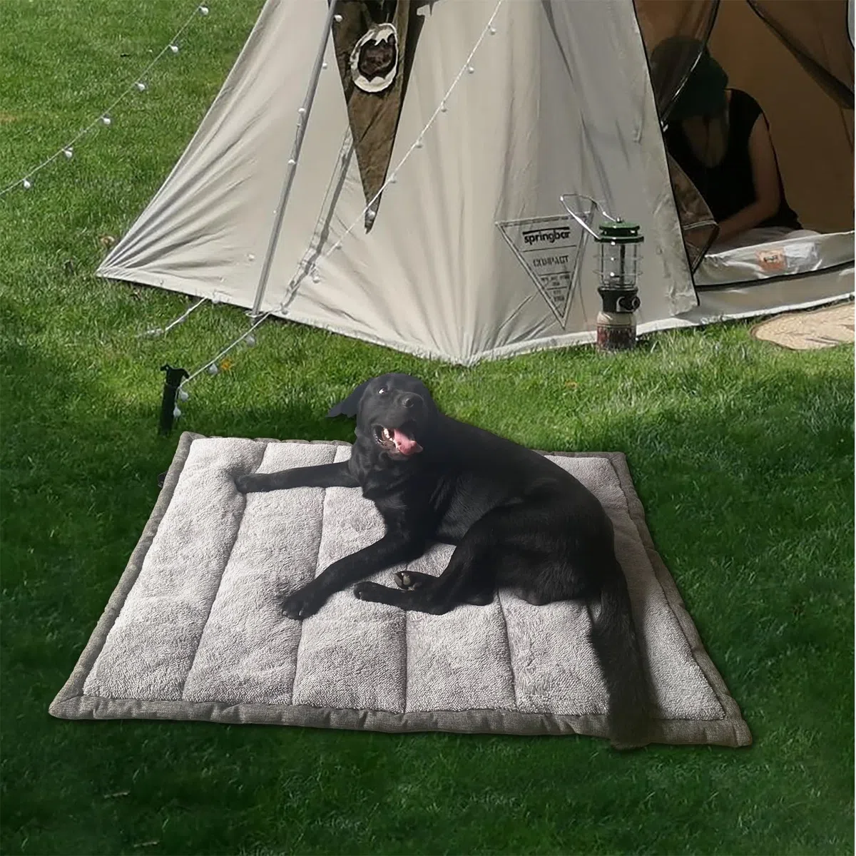 Rollup Cama para perros al aire libre, colchonetas de viaje para perros medianos y grandes, portátil, plegable, lavable a máquina, accesorios para mascotas para máxima comodidad, 36 x 23 pulgadas,