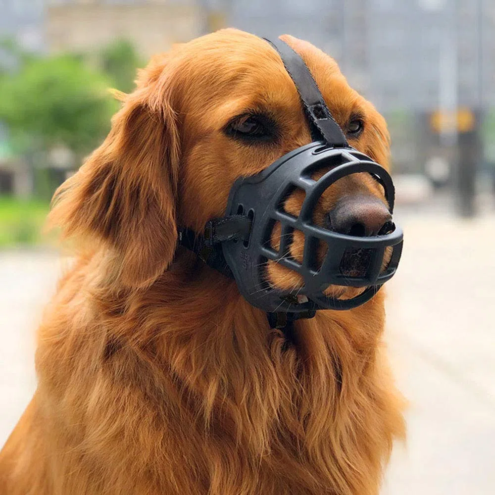 Bozal para Perros, bozal Protector Multiusos para Perros, bozal de Entrenamiento para Perros domésticos, Adecuado para el Aseo, Caminar en el Parque
