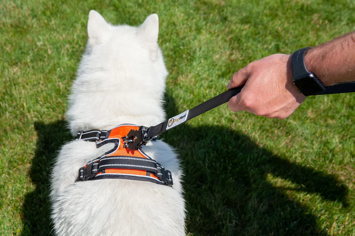 Correas tácticas para perros medianos y perros de raza grande (6 pies) | Correa de nailon recubierto de PVC resistente con clip de rana de liberación rápida | Clip G integrado (rojo, 6 pies)