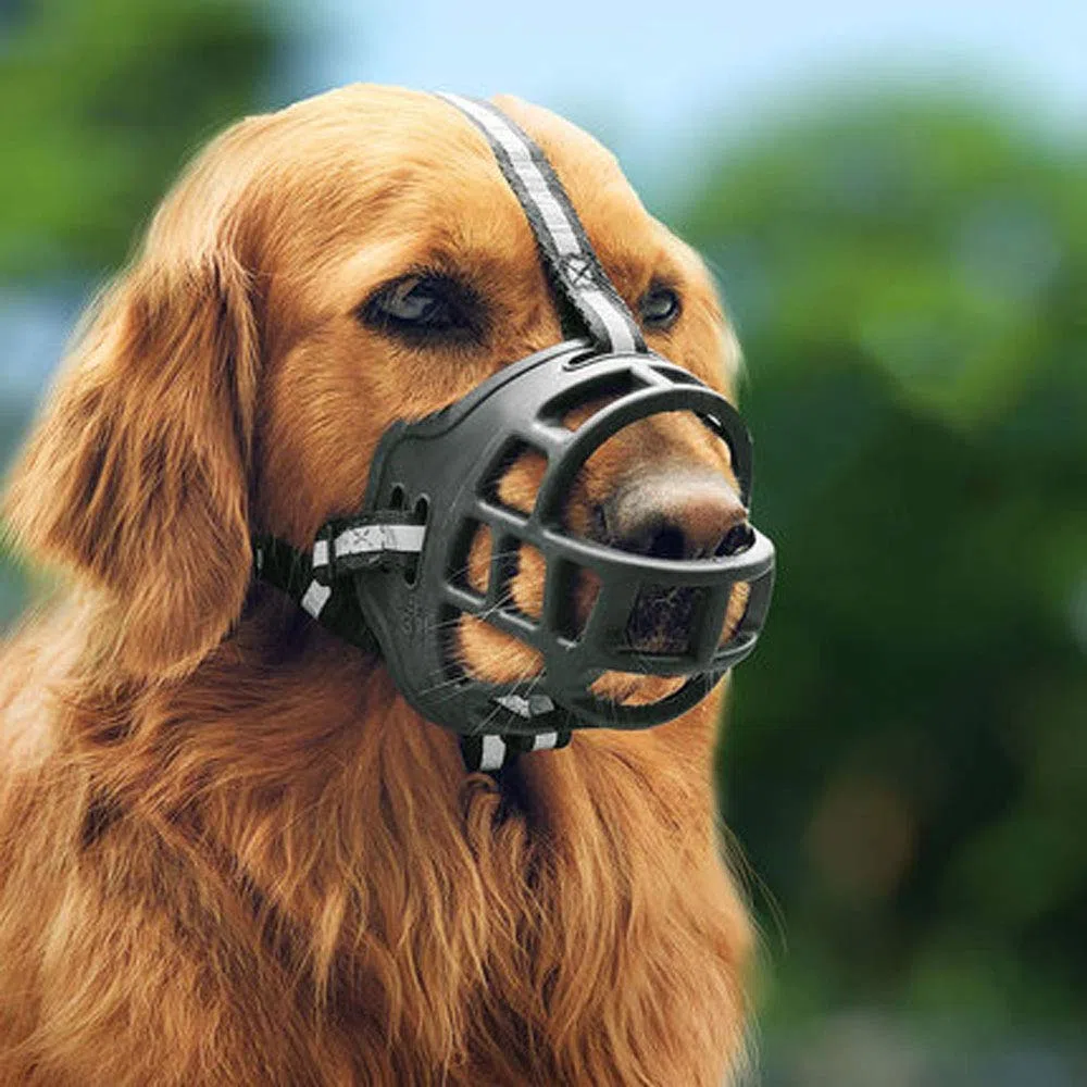 Bozal para Perros, bozal Protector Multiusos para Perros, bozal de Entrenamiento para Perros domésticos, Adecuado para el Aseo, Caminar en el Parque