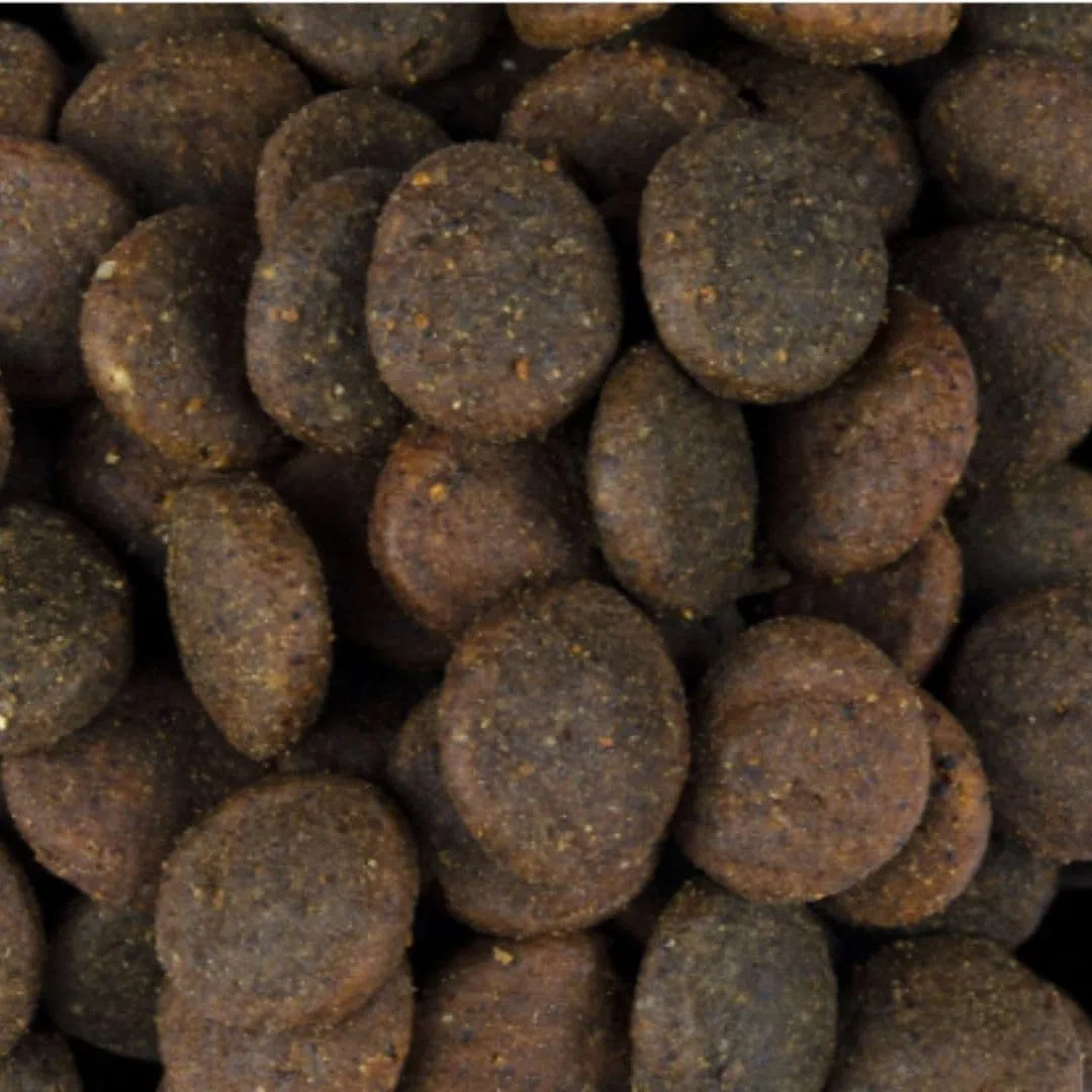 ANIMALUJOS - Carnilove True Fresh 4 kg + Lata Comida Húmeda 400 g Gratis | Pavo, Ternera o Pescado | Pienso Natural sin Cereales | Alta Digestibilidad Alimento para Perros (Ternera 4Kg + Regalo)