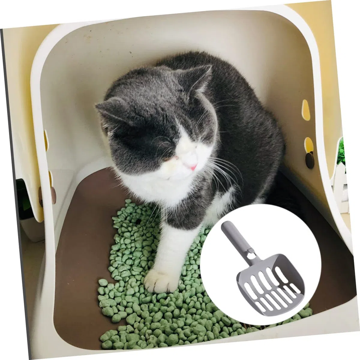Pala para Arena de Gato, 4 Uds. Palas de Arena Antideslizantes, for Gatos Grande, portátil, Material Resistente for rascar