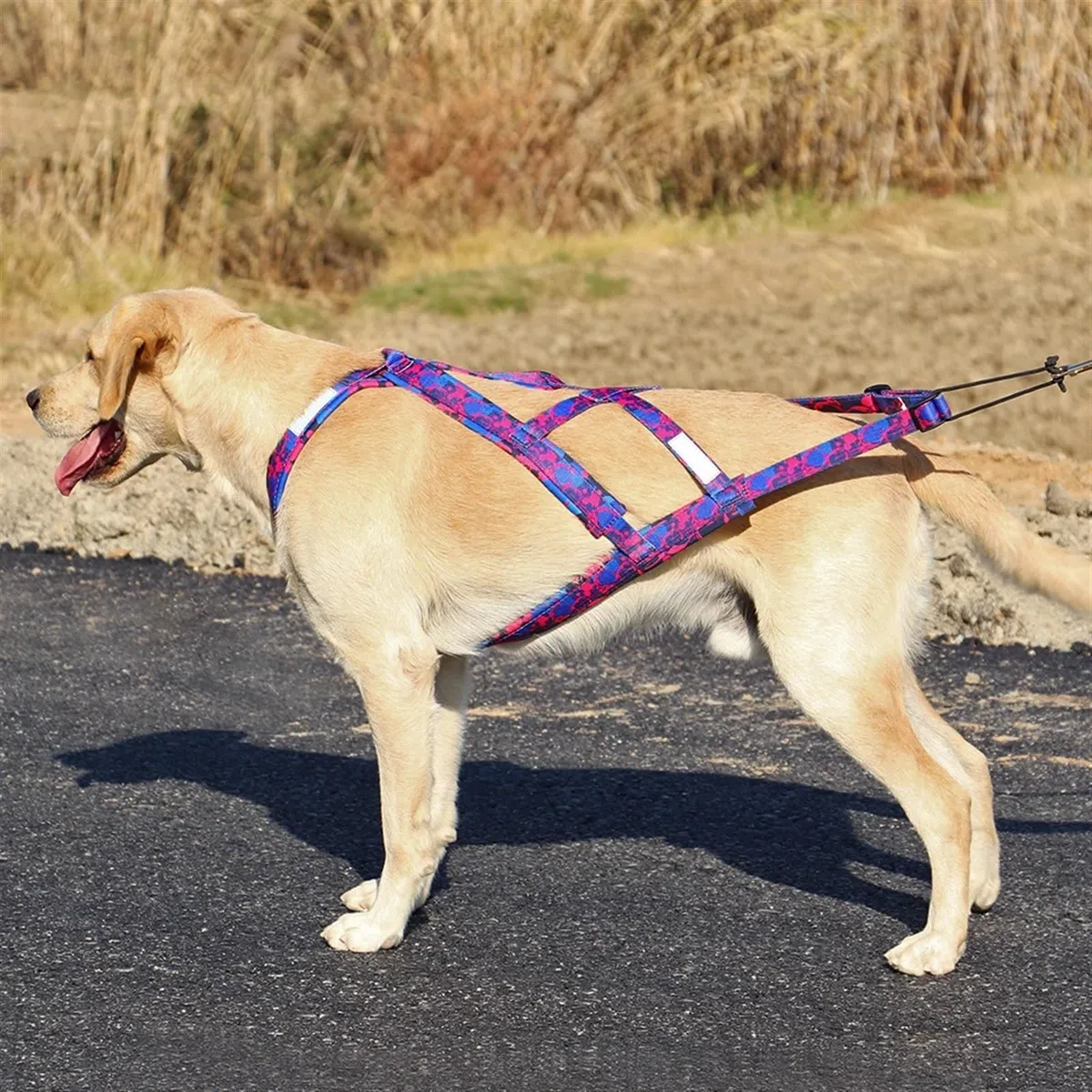 Arnés reflectante for trineo de perros, ajustable, for perros grandes, con capacidad de tracción, for trineos de mascotas, for perros medianos y grandes, for esquiar y esquiar Arnés deportivo para per