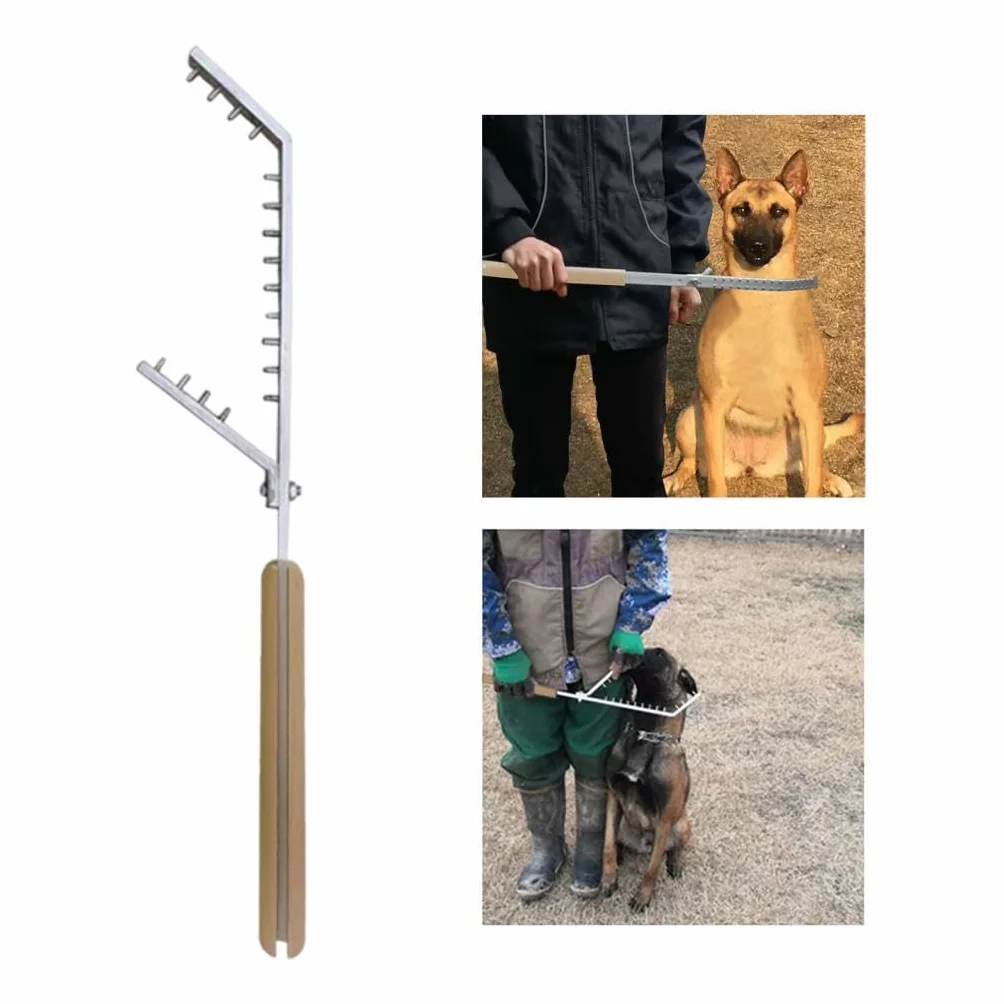 Poste de Adiestramiento Canino, Herramienta de Adiestramiento, Equipo de Adiestramiento