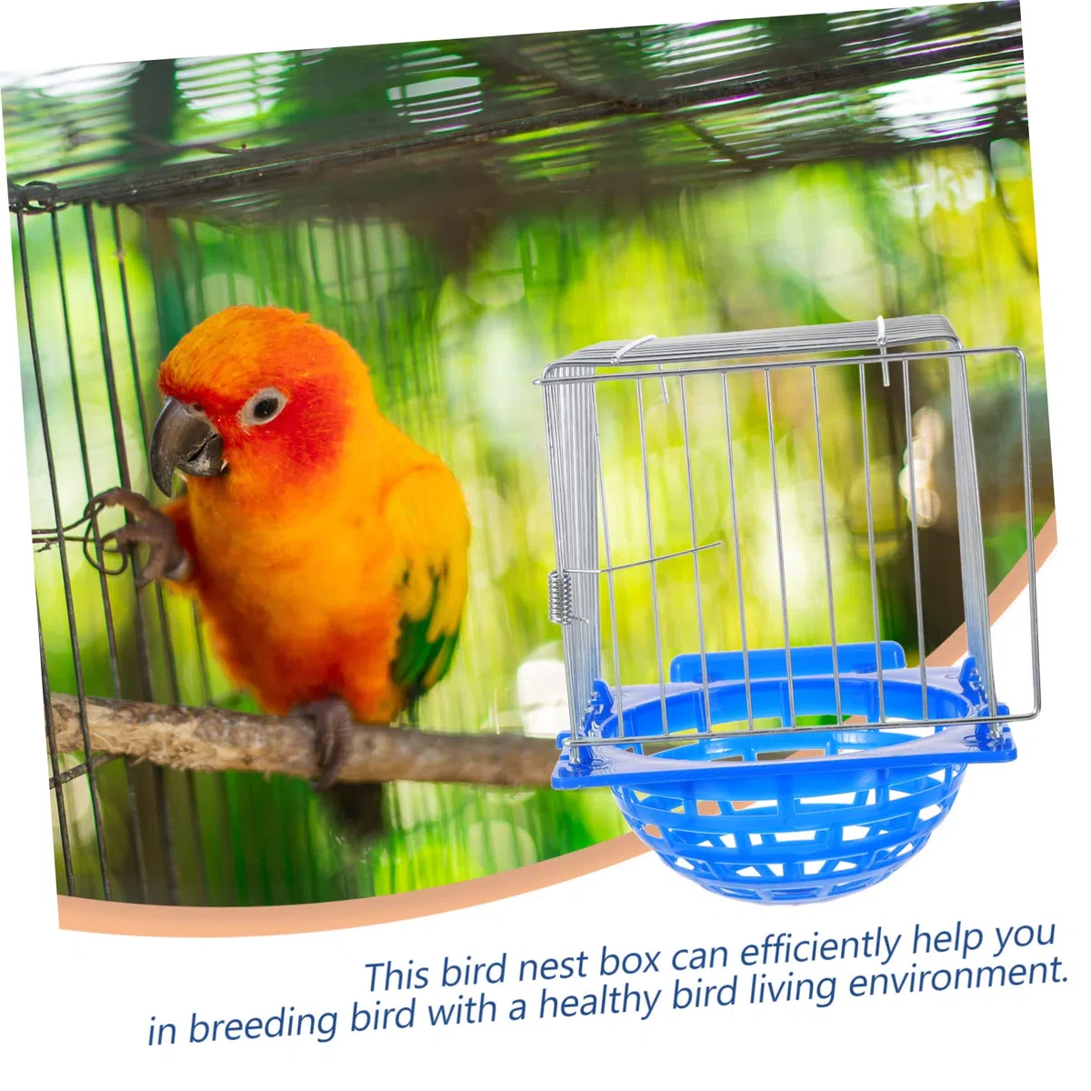 BESPORTBLE 2piezas Bandeja De Nido para Pájaros Soporte Práctico para Cría De Canarios y Periquitos Fácil De Instalar y Limpio para Mascotas y Tiendas De Animales