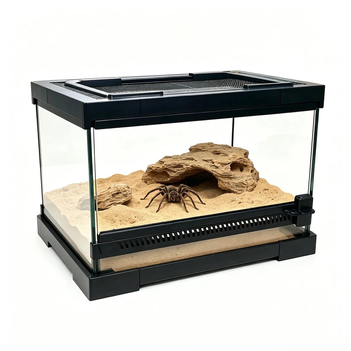 Terrario de cristal para reptiles, caja de anfibios, caja de hábitat para ranas, arañas, mantis religiosa, grillo, tarántula, cangrejo ermitaño (30 x 20 x 17 cm)