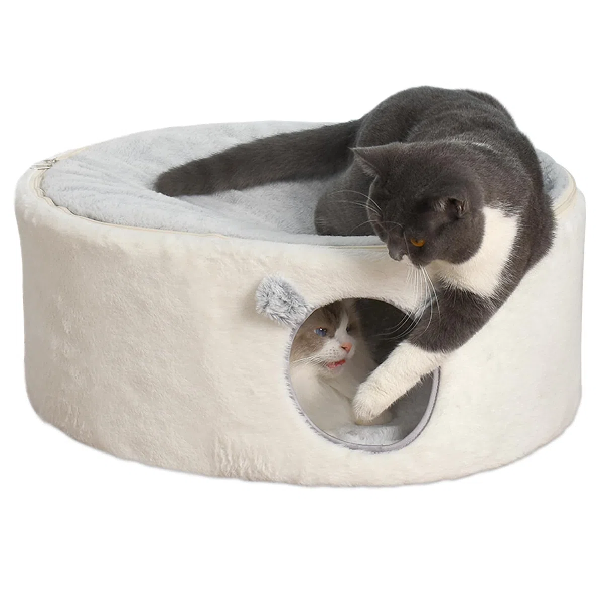 GUUSII HOME Elevado Cama para Gato Grande Gatos Cueva Gatito Casa Interior Conejo Caseta Perro Pequeño Cuna Cerrado Mascota Casita con Funda Lavable Cojín de Felpa Fácil Montaje 60 * 45 * 27cm