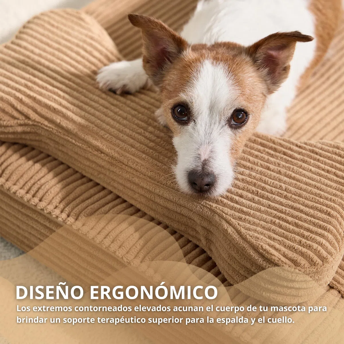Cama Perro ortopédica antiestrés Lavable Funda Impermeable (Small)
