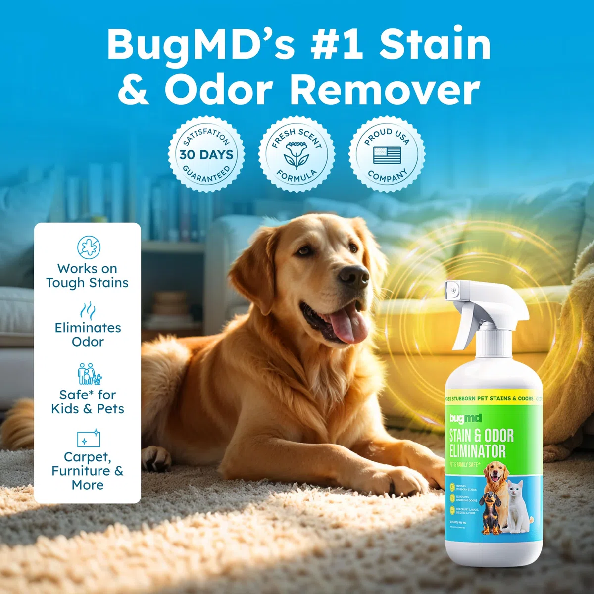 BugMD Removedor de manchas y eliminador de olores para mascotas para olores fuertes (32 onzas) en aerosol, limpiador enzimático para orina de perro, desodorante de arena de gatos, alfombras, muebles,