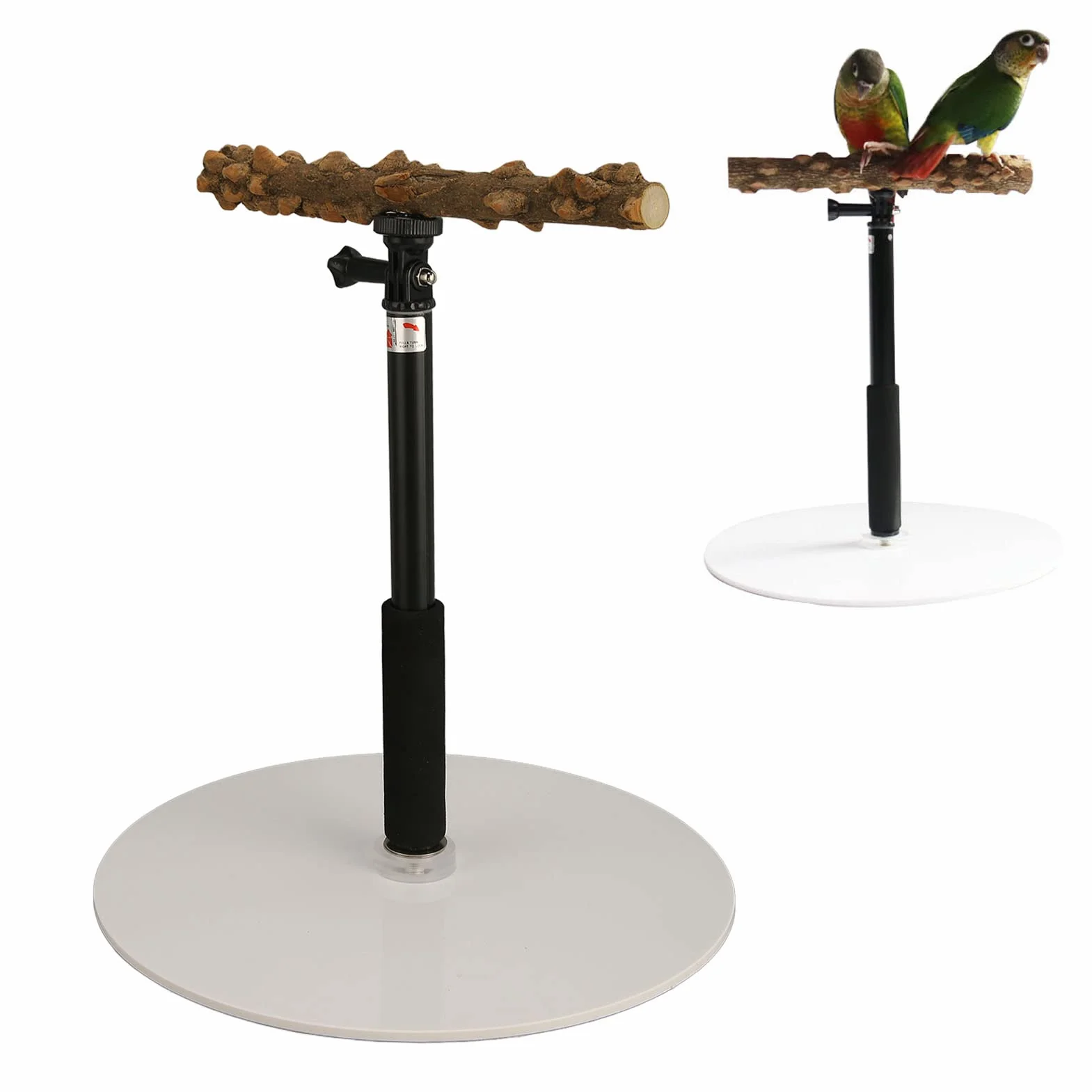 Soporte de Percha de Entrenamiento para Loros, Percha de Pie para Pájaros Desmontable Al Aire Libre con Altura Ajustable de 37 Pulgadas, Base, Soporte de Viaje para Juegos de Pájaros para Conure