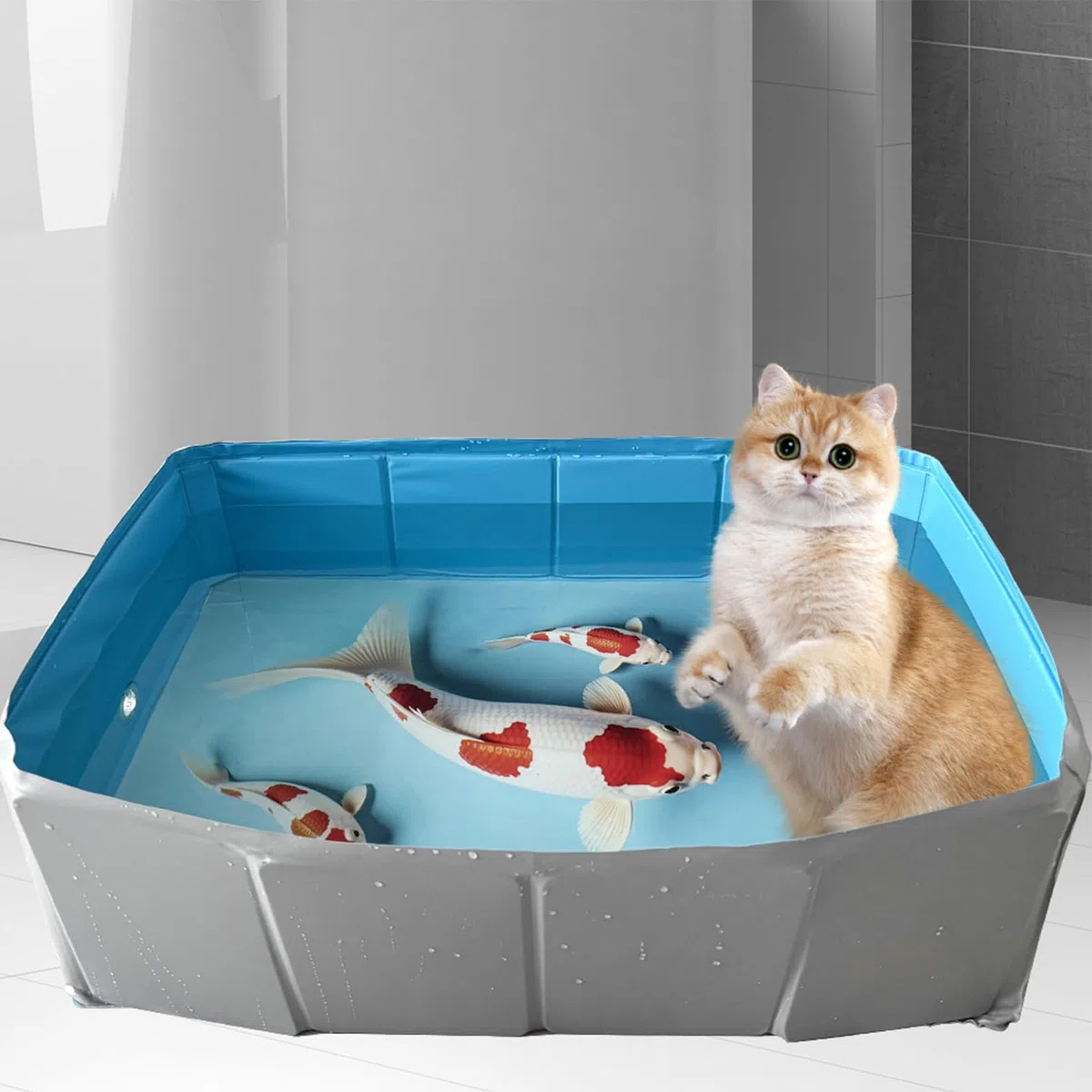 Piscina para Perros Bañera De Perro Plegable De PVC con Forma Cuadrada