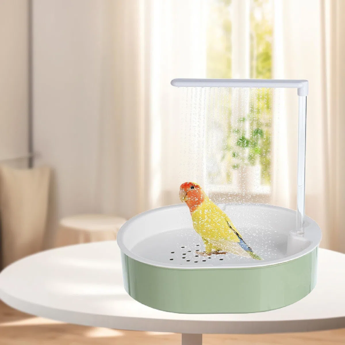 Bañera Automática para Loros con Bomba para Loros Y Cotorras (para Exteriores).
