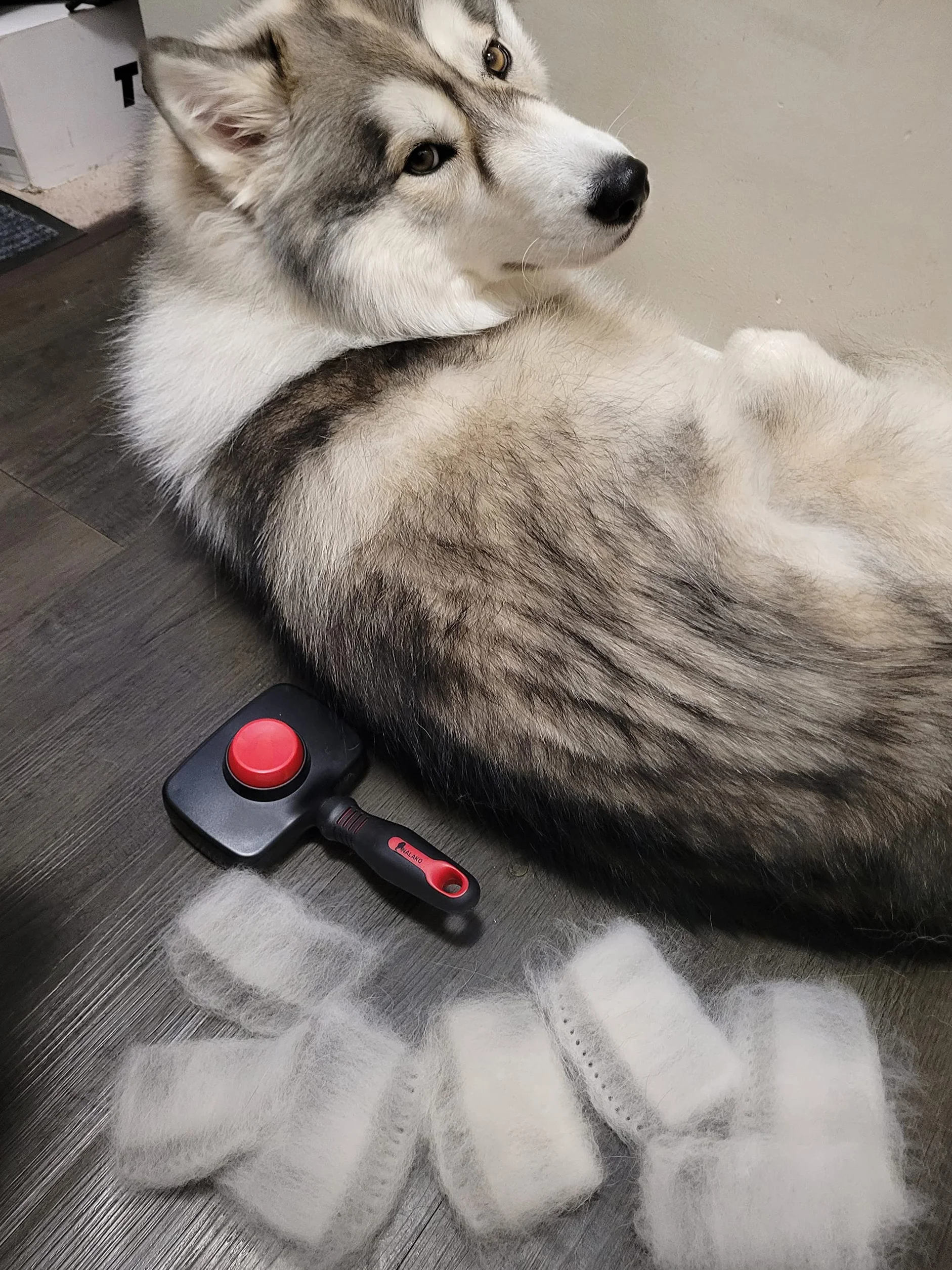 Cepillo de aseo autolimpiante para perros y gatos, peine para mascotas para desprendimiento de cabello, capa inferior y pelaje, combina el rastrillo y el rastrillo de la capa inferior en un