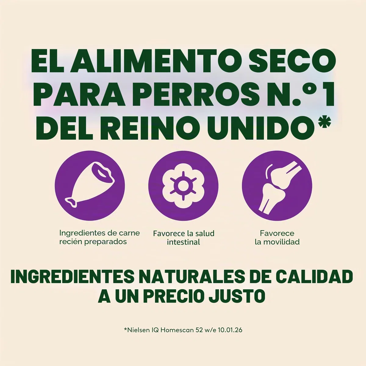 Alimento seco para Perros Harrington's Senior Complete con Pollo y arroz, 12 kg, elaborado con Ingredientes Totalmente Naturales