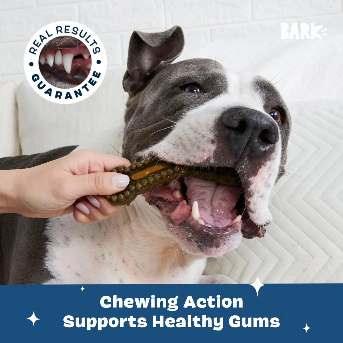 Bark Bright - Kit de masticables dentales duraderos - Kit de cepillado de dientes de perro con masticables de limpieza de dientes y pasta de dientes - Removedor de placa y sarro para dientes más
