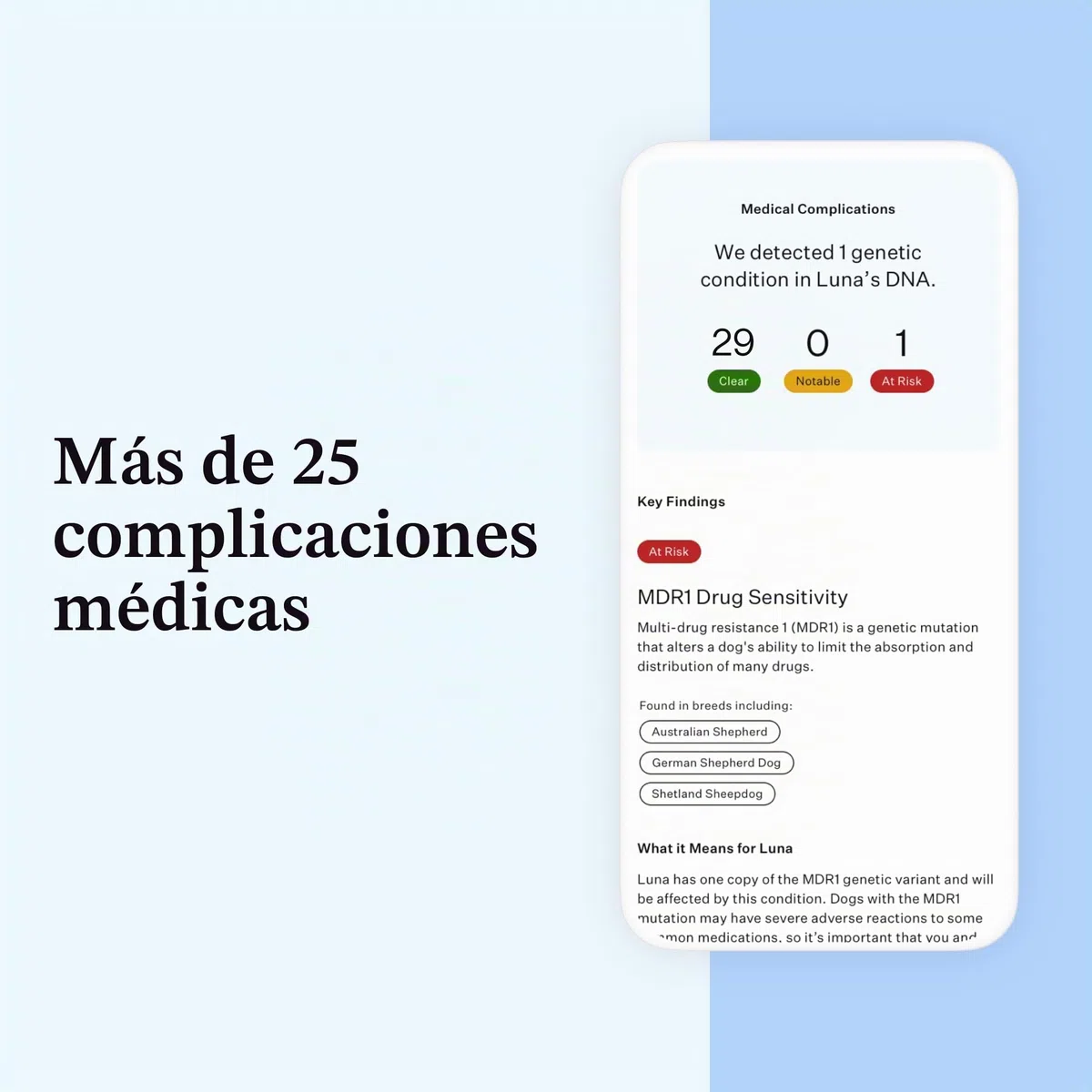 Wisdom Panel Esencial – Prueba de ADN para Perros ancestrales, Razas, propiedades y Pruebas de Salud