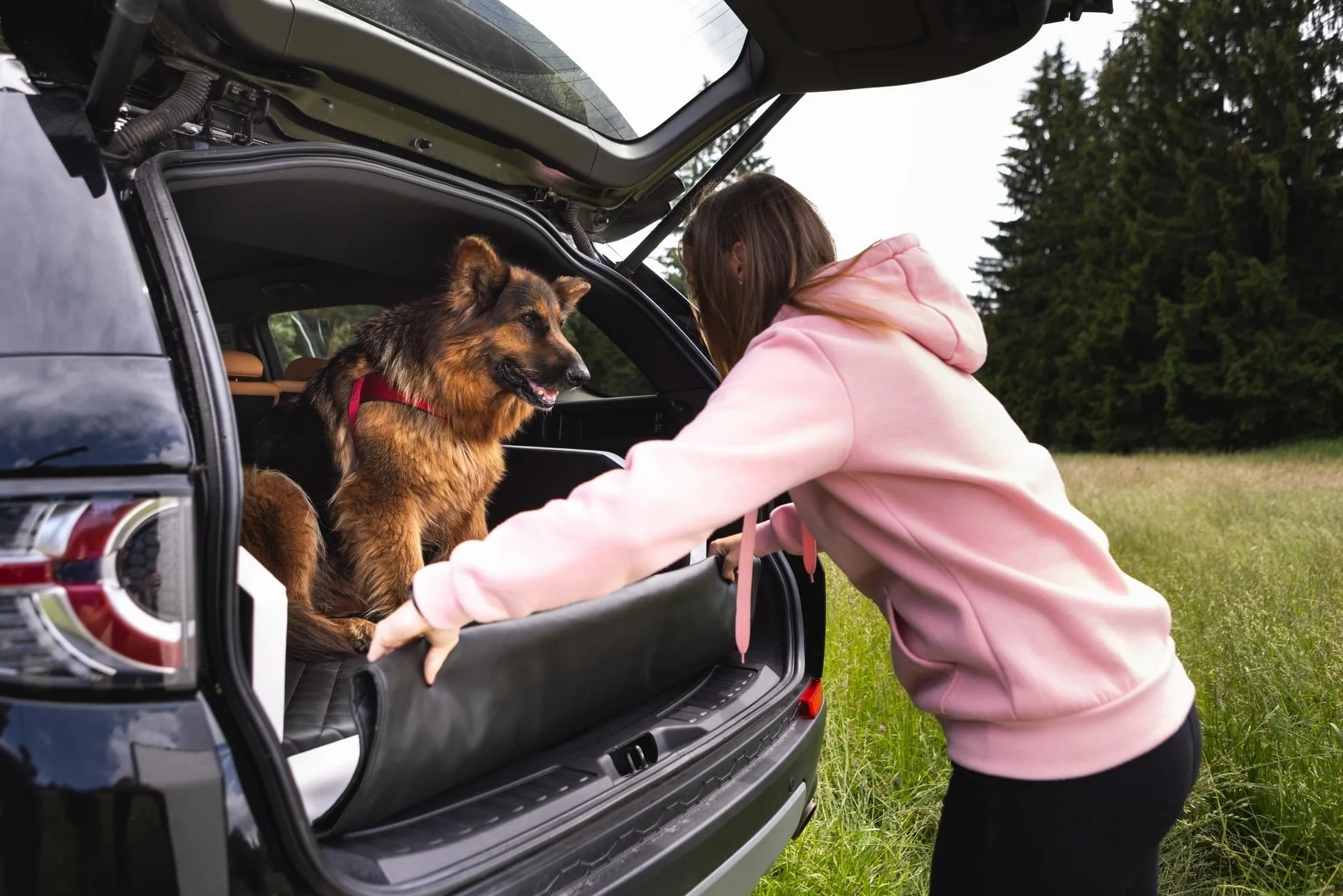 Velinda Transportín Cama de Coche para Perros Maletero colchón 90x55 cm (Color: Negro)