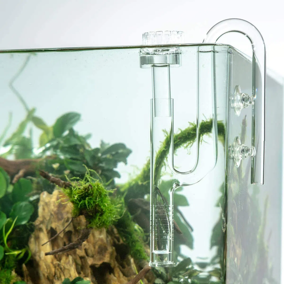 FZONE Juego de Tubos de Lirio de Cristal acuático con Flujo de Lirio y Salida de Lirio para Filtro de Acuario de 16/22 mm