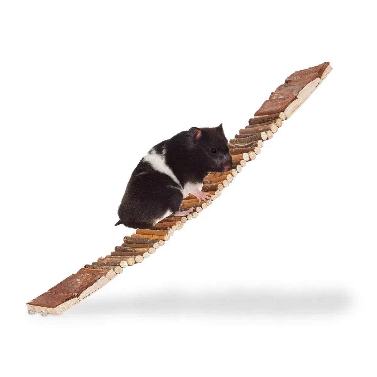 Relaxdays - Puente de Madera para roedor, Lote de 10, Flexible, Ojales para Colgar, Escala Jaula, pájaros, Chima, HLP, 1,5 x 55 x 10 cm, Naturaleza