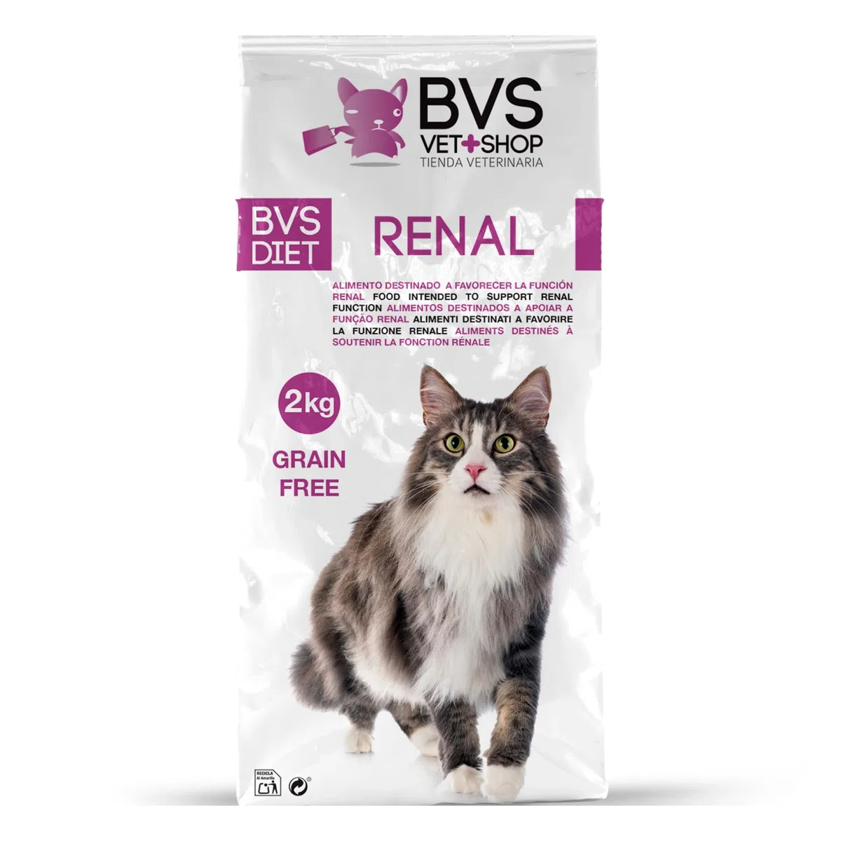 BVS Vet Shop | Diet Gato Renal Grain Free | para Gatos Adultos, sin Cereales destinado a favorecer la función renal | 8 kg