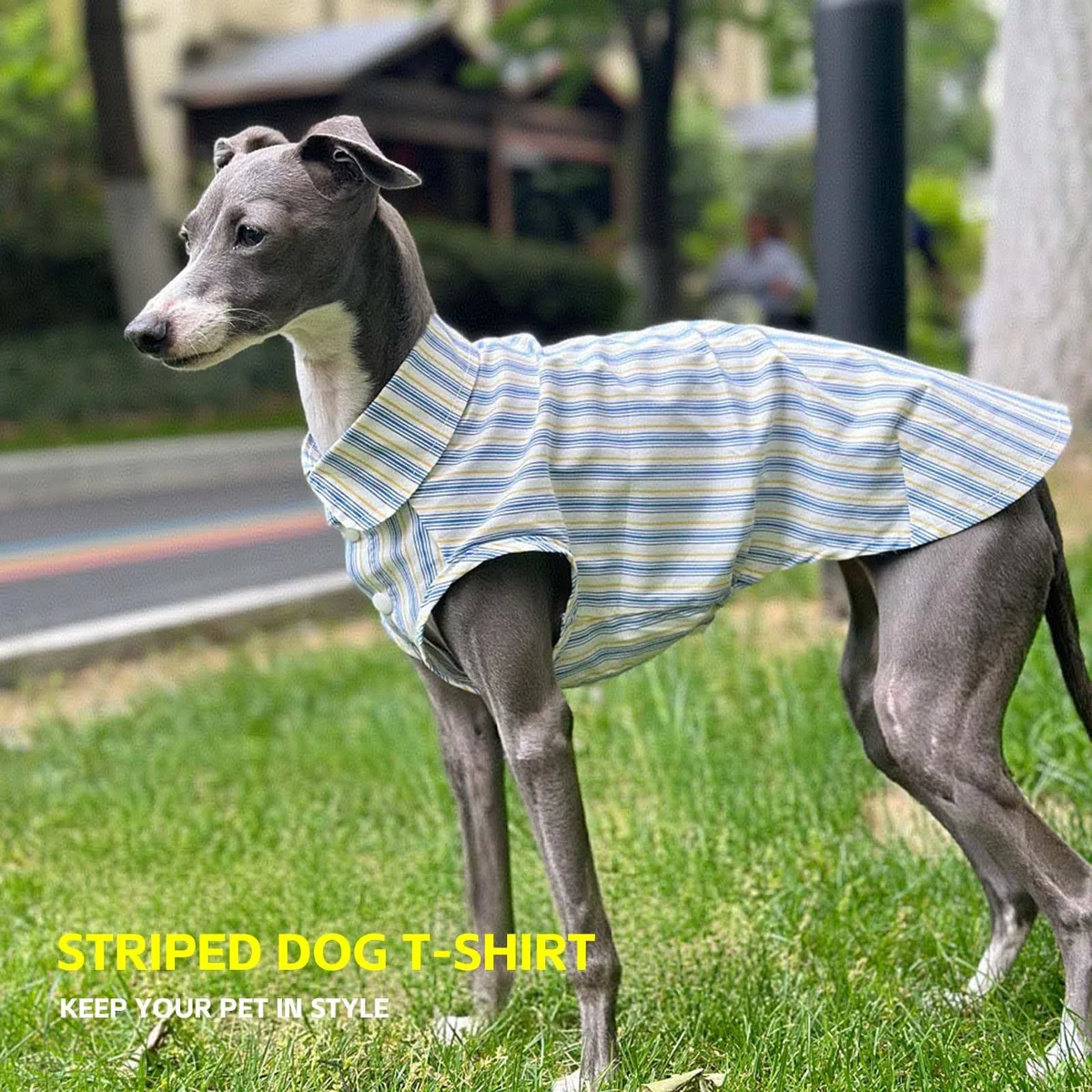 Camiseta De Perro Camisas Clásicas De Rayas para Pequeños Perros Grandes Grandes Perros Transpirables Ropa De Camiseta con Botón ¡Lindos Trajes De Verano para Italiano Greyhound Whippet