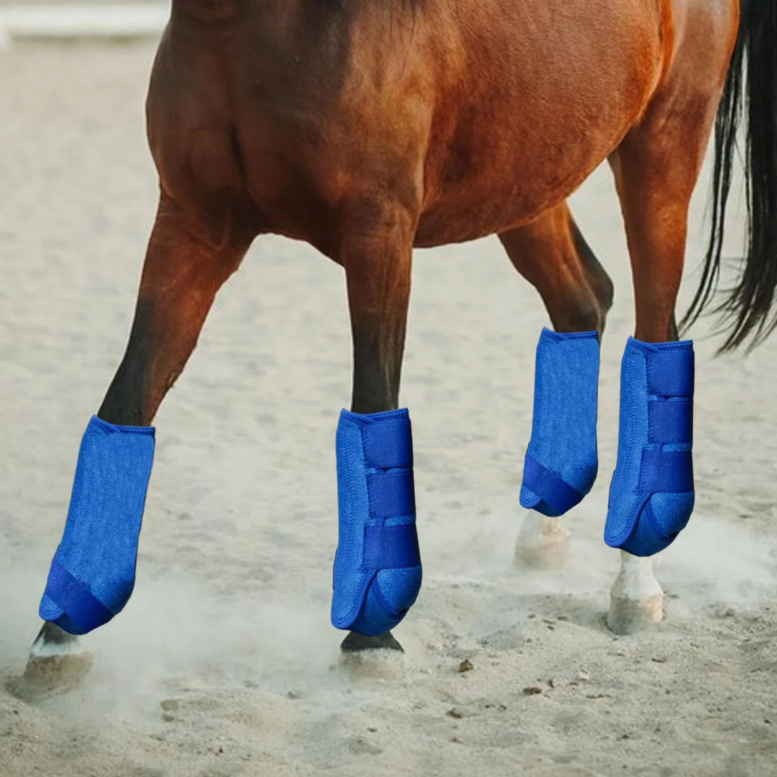 4 Piezas Botas para Caballo Protector de Piernas Envoltura Soporte de Guardia Material Neopreno Reutilizable Adecuado para de Equitación, Azul, s