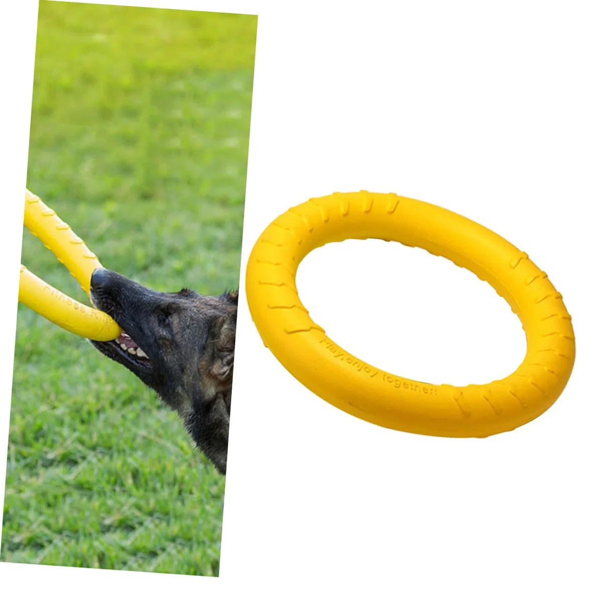 Toddmomy 2 Piezas Anillo Juguete Juguetes para Perros Cachorros Anillo Juguete para Mascotas Juguetes para Morder Perros Pastor Alemán Disco Volador
