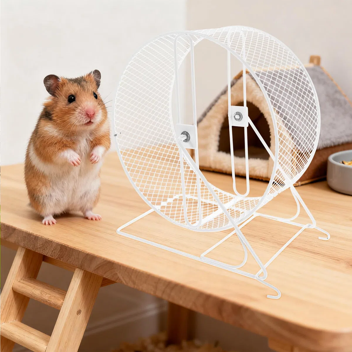 Rueda para Hámster Metálica Silenciosa de Ejercicio Estable para Jerbos Ratones y Pequeños Roedores Protección de Uñas y Diseño Duradero para Fitness Diario