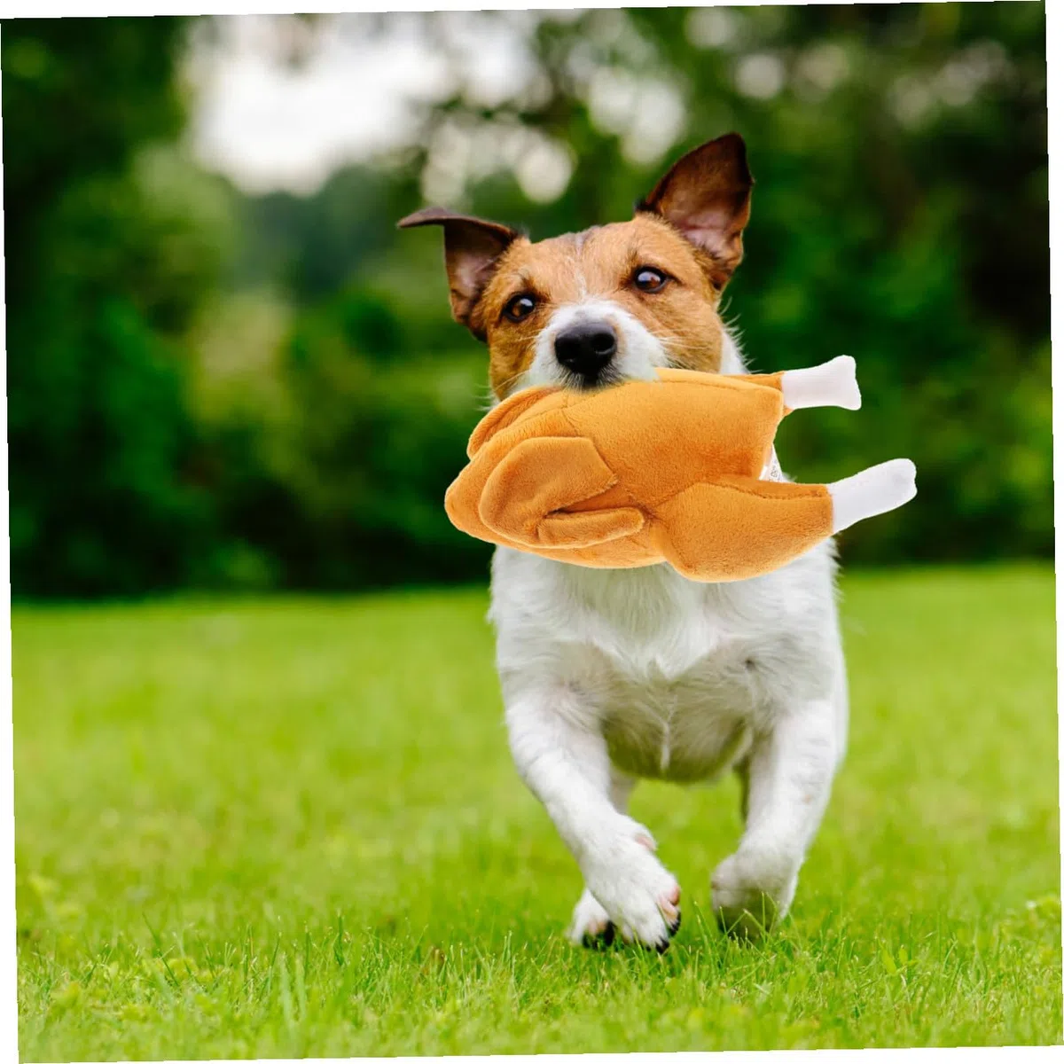 Kisangel 4piezas Juguete Creativo para Mascotas Juguete De Mordida Chirriante para Entrenamiento De Olfato y Masticación De Cachorros Seguro y Duradero