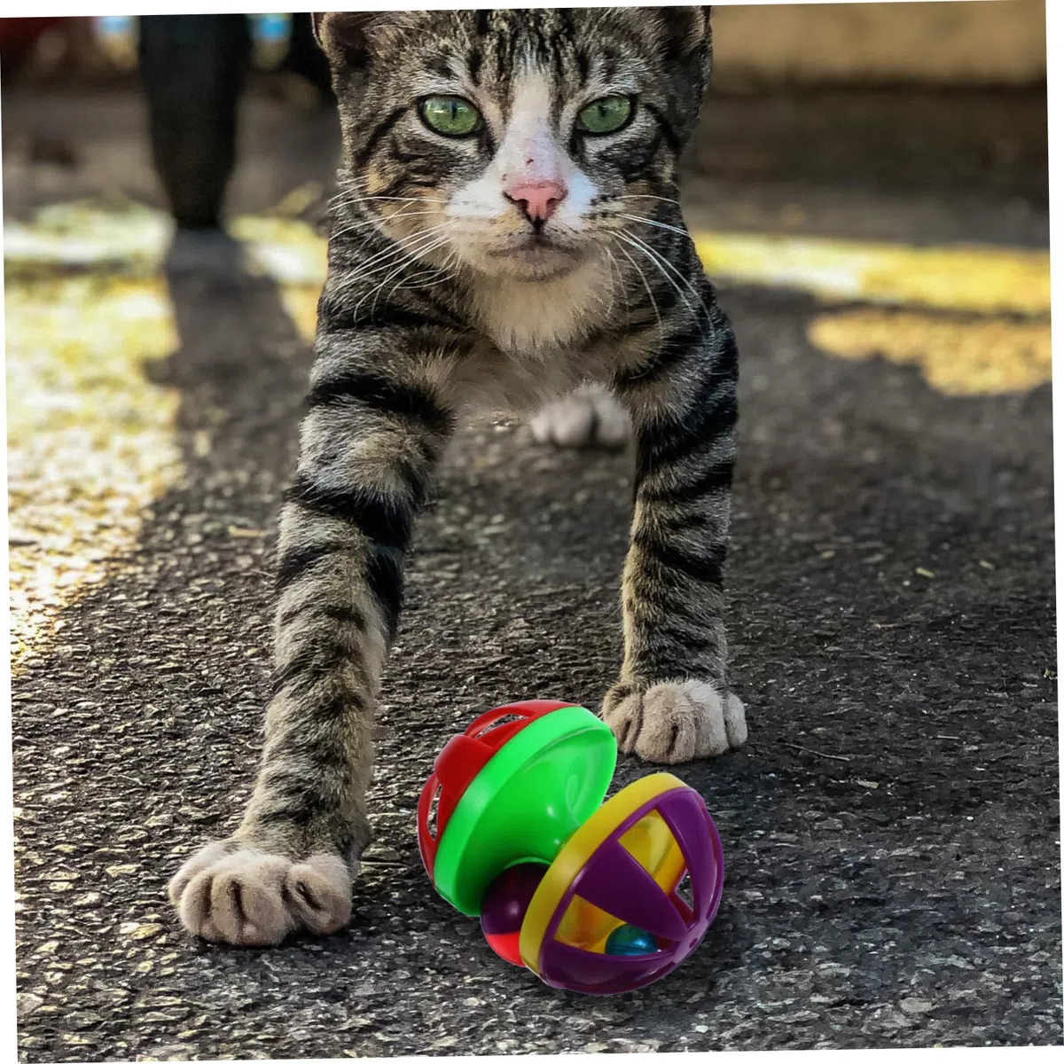 Didiseaon 12 Piezas Juguetes para Mascotas para Gatos con Cascabeles Suministros para Mascotassuministros para Mascotas Juguete para Gatos Campanillas Pelota De Juguete Gatito