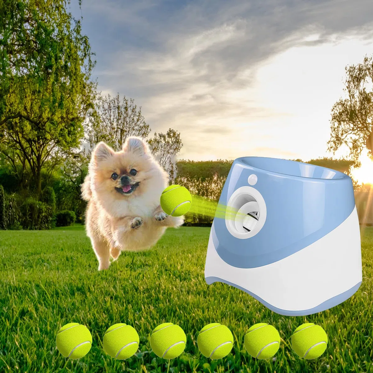 Máquina de lanzamiento de bolas para perros, máquina automática para lanzar bolas con 6 pelotas de tenis, juguete para perros, lanzador de pelotas, 3 distancia de lanzamiento intermedio, juguete