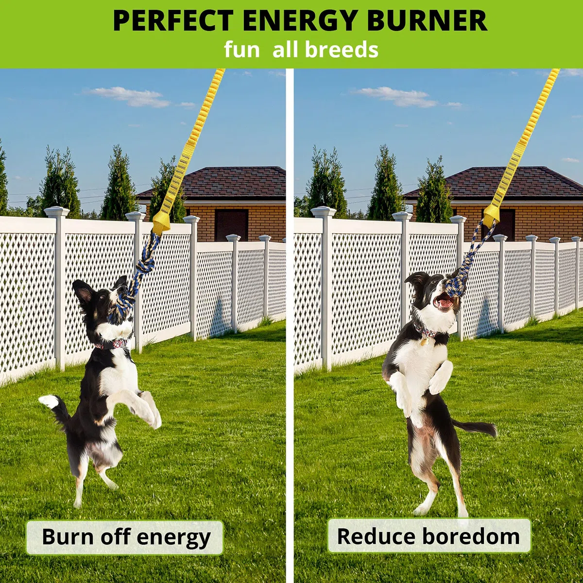 Juguete elástico Colgante para Perros: Correa interactiva para Perros pequeños a Grandes Pitbull para Hacer Ejercicio y divertirse en Solitario, Juguete de Cuerda retráctil Duradero con 2