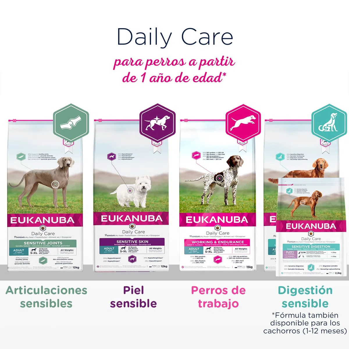 EUKANUBA Daily Care Alimento seco para perros adultos con piel sensible, alimento hipoalergénico con pescado, 12 kg