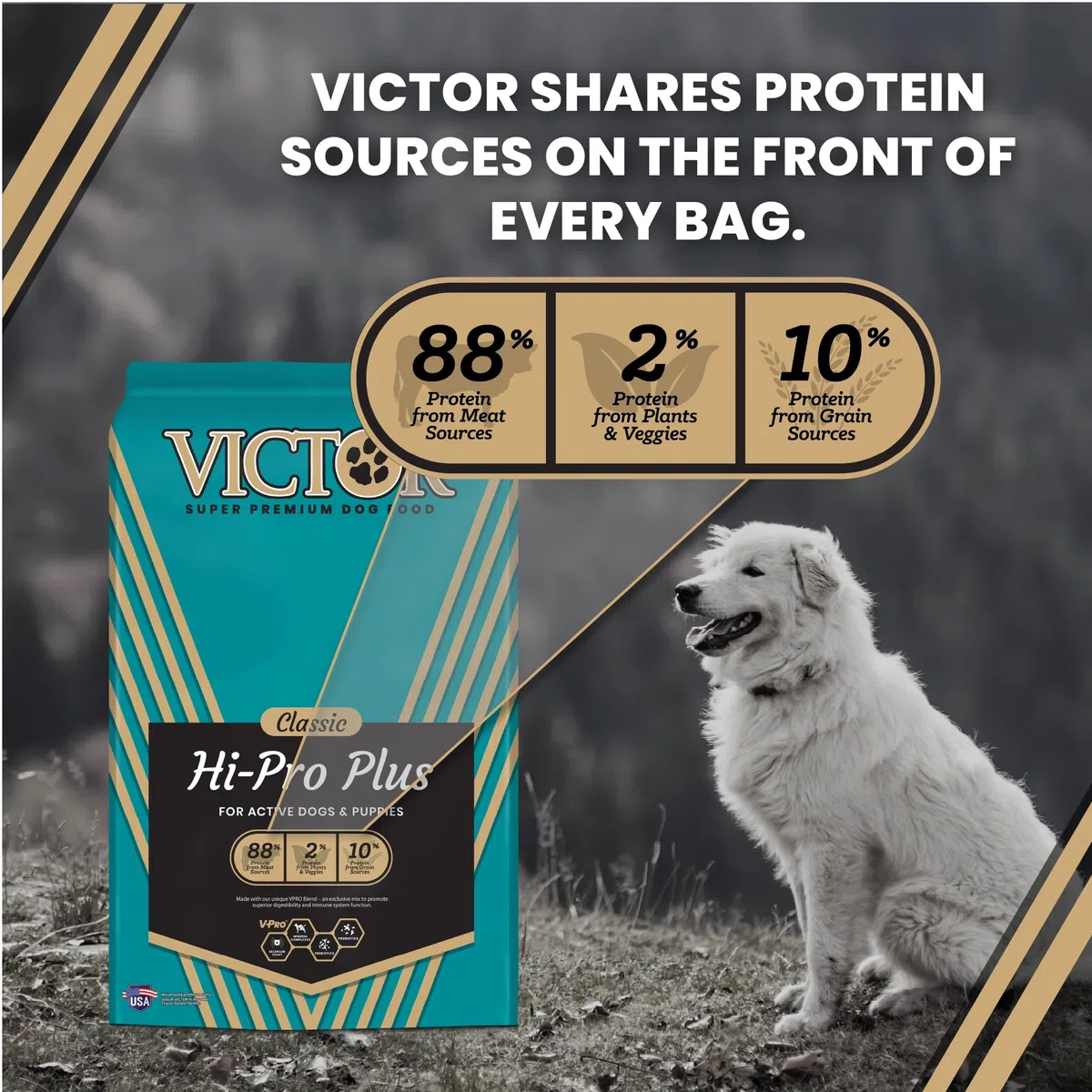 Victor Super Premium Dog Food – Hi-Pro Plus Dry Kibble – High Protein Dog Food con 30% de proteínas – Carne de Res, Pollo, Cerdo, Comida de Pescado, sin Gluten – para Perros y Cachorros Activos de