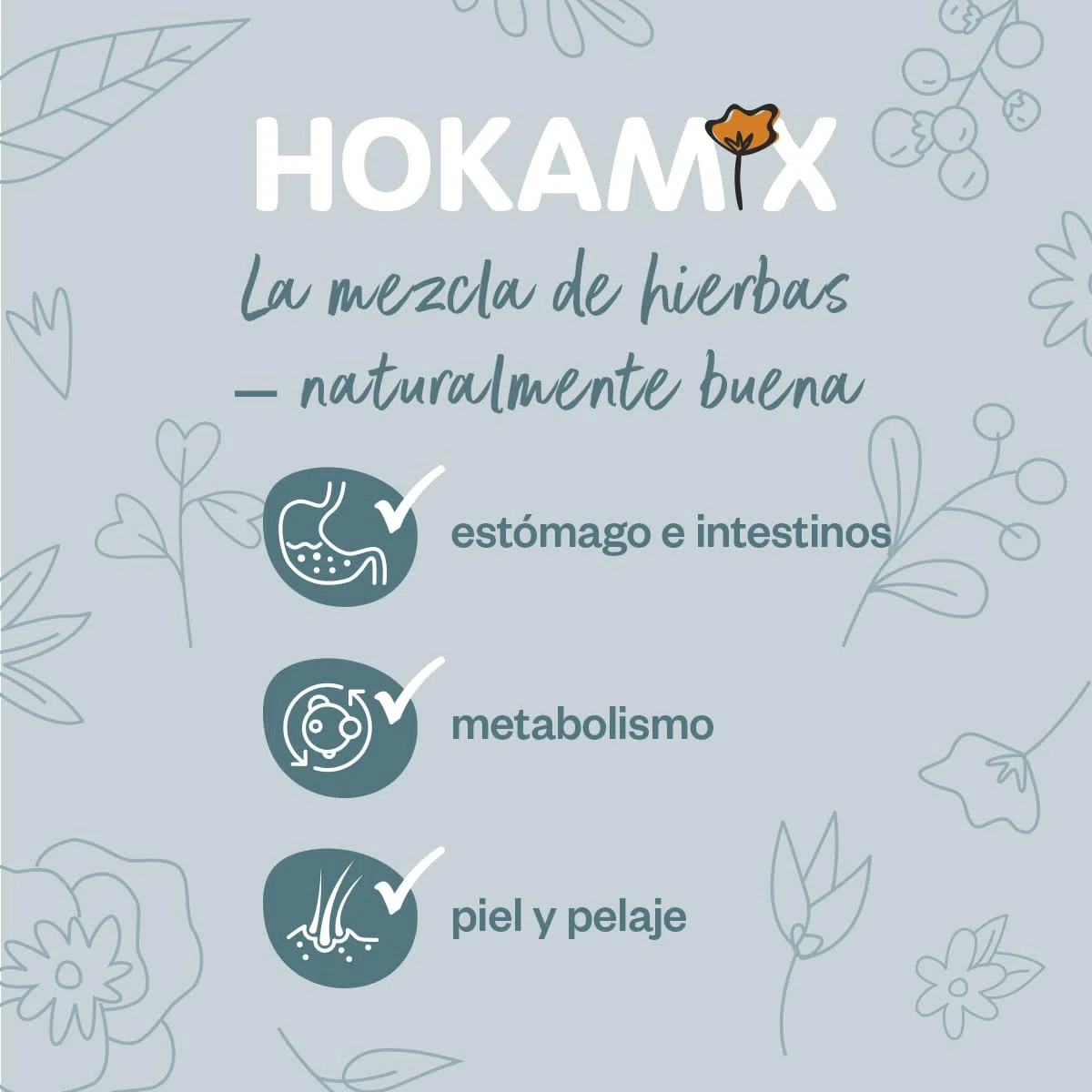 GRAU - El Original - Hokamix Vitality Booster Snack Maxi, Pack Individual (1 x 4,5 kg), alimento complementario para Perros