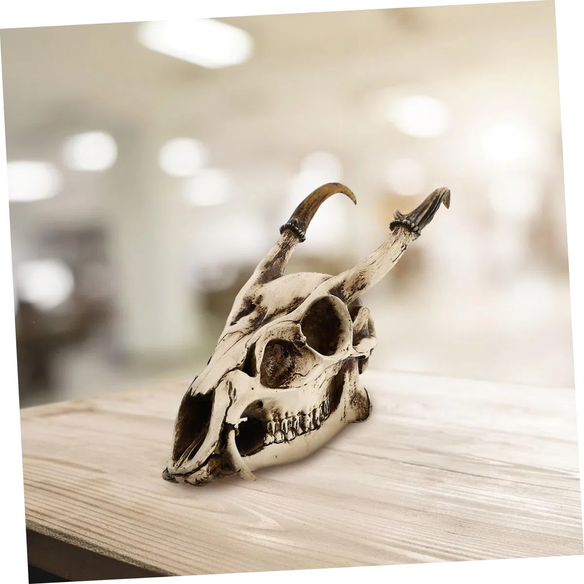 Cabilock 1 Pc Adorno De Calavera De Cabra Decoración De Cuernos De Cabra Kit De Collage De Pared Cabeza De Animal Decoración De Calavera De Oveja Ram Mesa Resina Póster Acuario