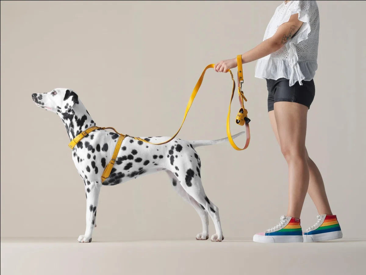 Correa para Perros Speer Grande | Diseño Suizo Hecho a Mano en España | Mangueras de Bomberos Recuperadas de Suiza, España y Francia | Correa Cómoda y Resistente