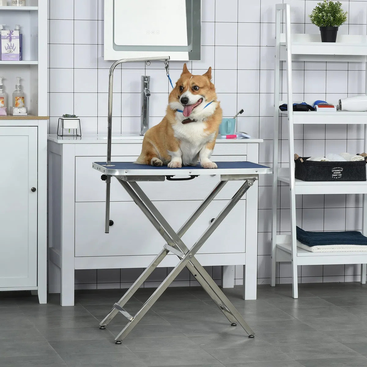 PawHut Mesa de Peluquería para Mascotas Mesa de Aseo 72x45x74-81 cm Azul | Altura Regulable, Encimera Antideslizante, Patas Plegables de Acero Inoxidable, Asa y Brazo con Altura Ajustable