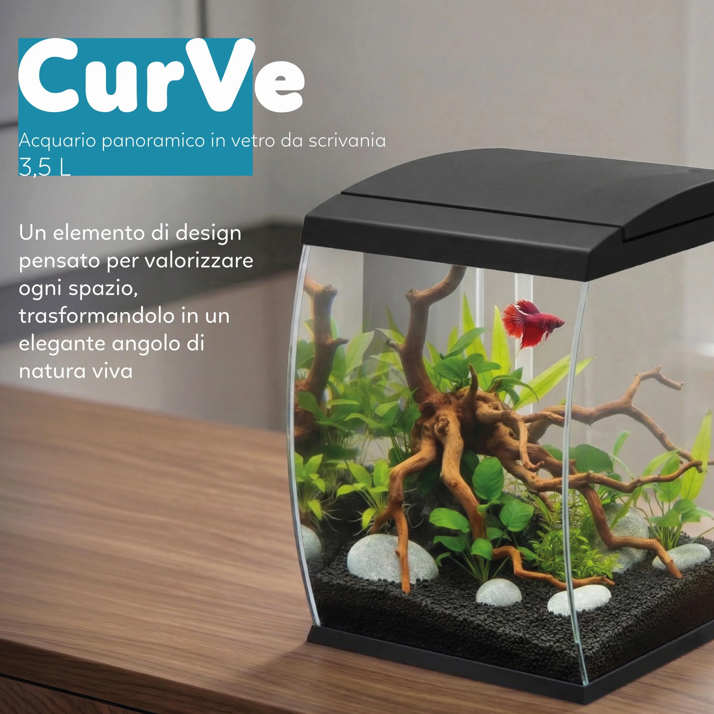 AQPET Acuario Curvo de Cristal Curvado 35 l con Filtro Superior Integrado y LED 6 W – Acuario de diseño de Escritorio con Bomba incluida y Tapa para dispensador automático de Alimentos (Negro)