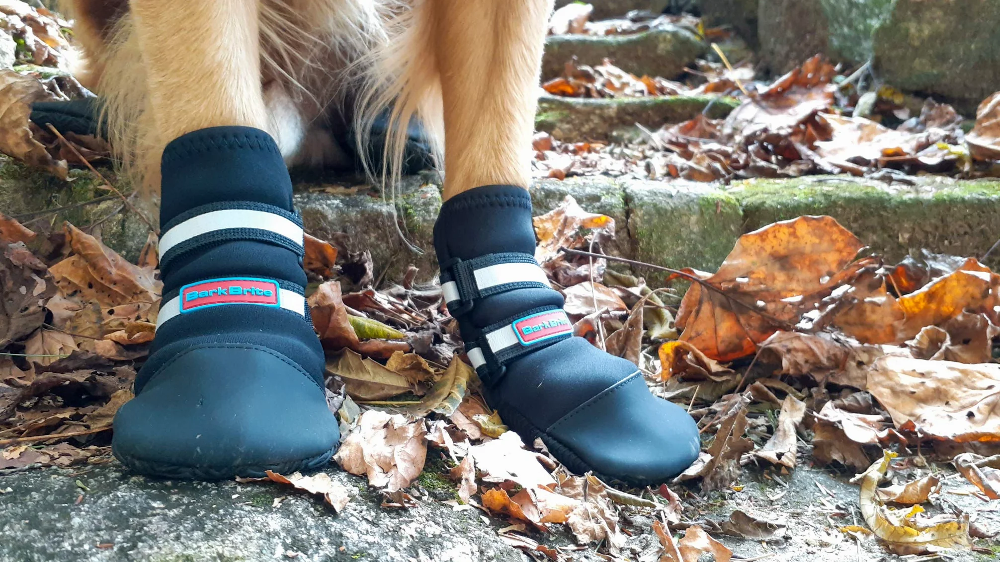 Bark Brite Todas Las Botas De Perro Protector De Neopreno Resistente A La Pata con Straps- Reflectante (XXL (4,5X4,5 In.))