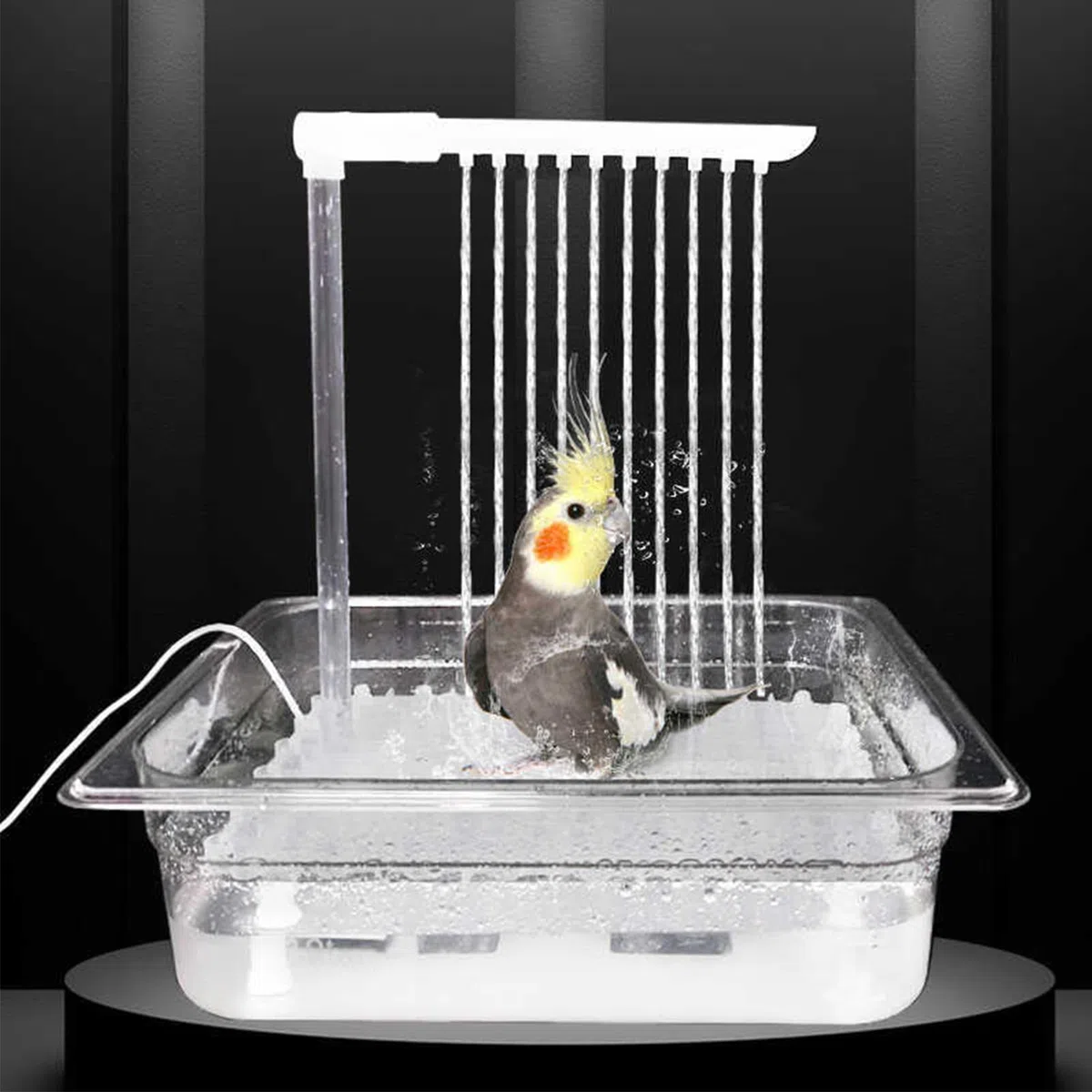 Ducha automática de pájaros, ducha de baño automática de aves Baño | Bañera de ducha de cacatina eléctrica para periquito gris africano, bañera de bóveda con presió