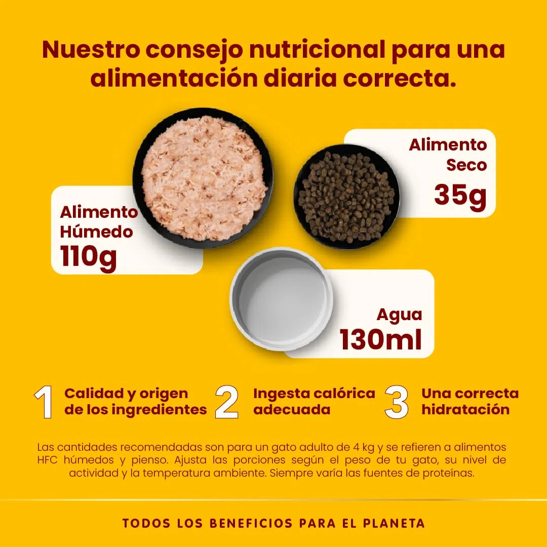 almo nature HFC Natural Comida húmeda para Gatos, atún y camarones, Paquete de 12 Unidades (12 x 280 g)
